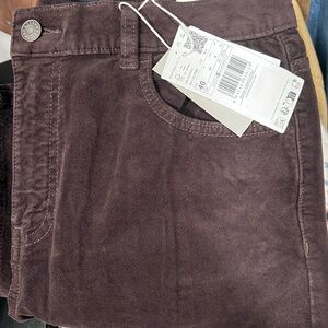 Mango Chocolate Brown Velvet Pants